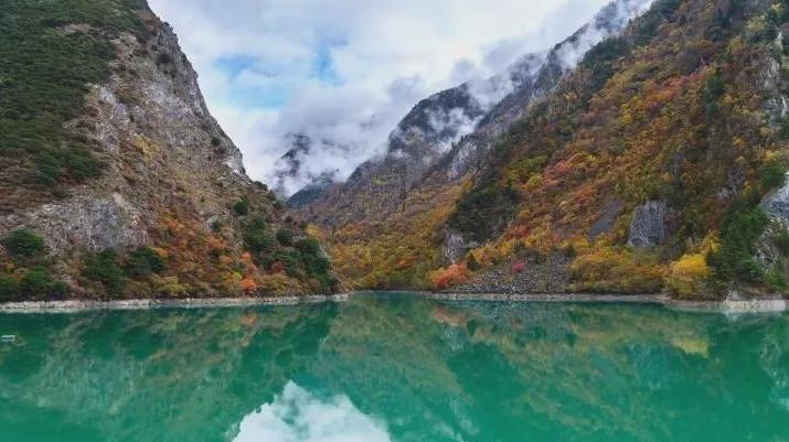 探索知识的乐园-员工在下班回家途中骑车摔伤在医保范围内吗?蜗牛问答平台